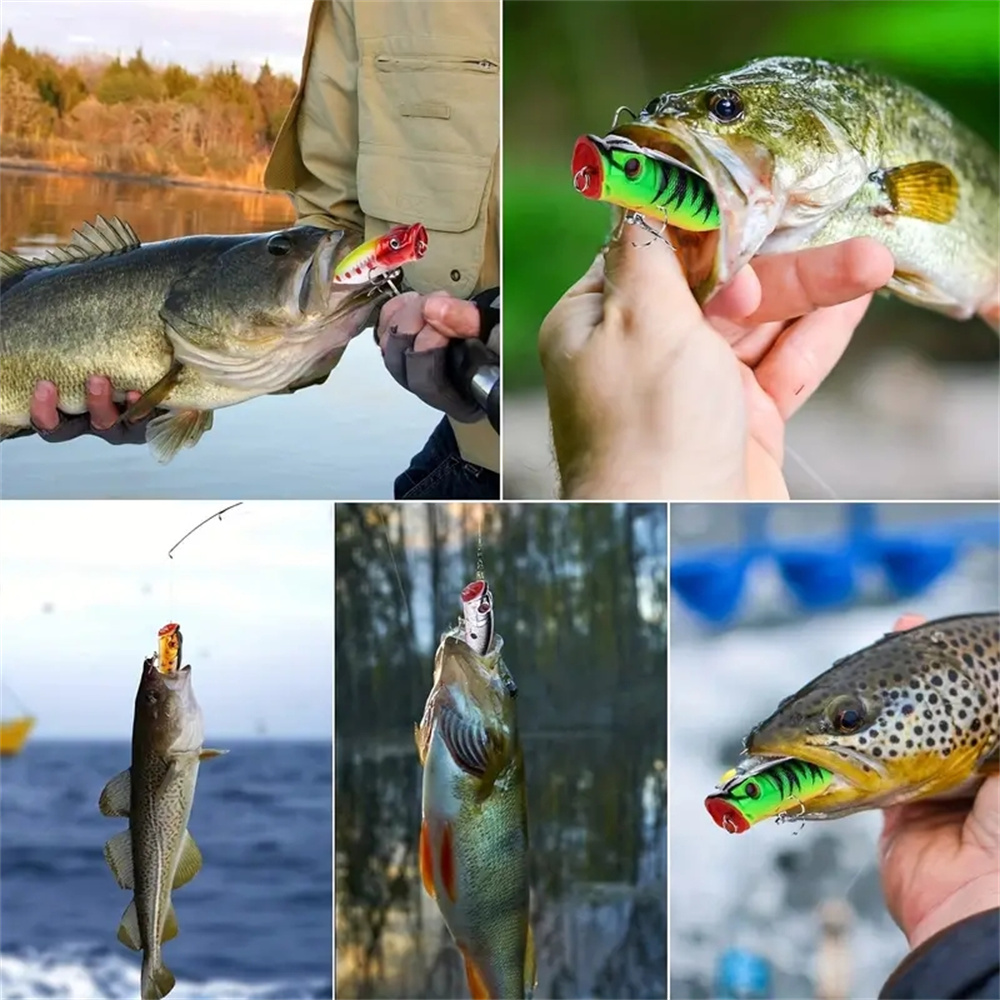 เหยื่อตกปลาแบบป๊อปเปอร์ 5 ชิ้น - 3D Printing Lure บทวิจารณ์และราคา