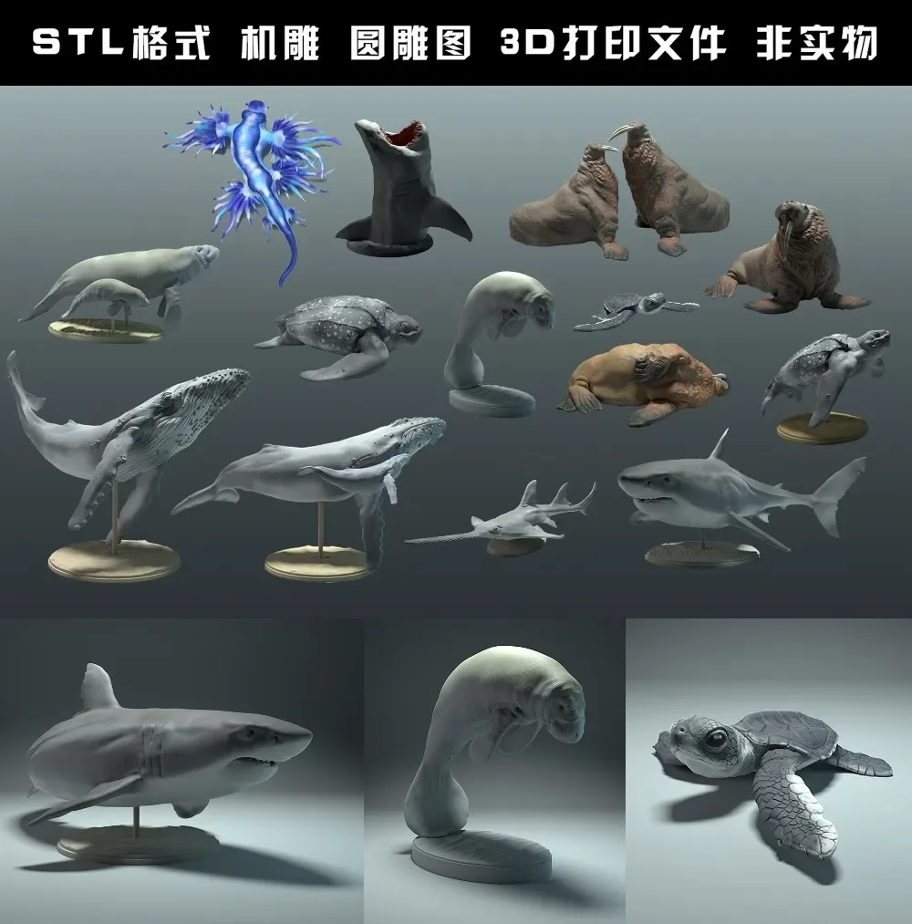 สัตว์, หมีขั้วโลก, Takin, หมาป - 3D Printing File Stl บทวิจารณ์และราคา